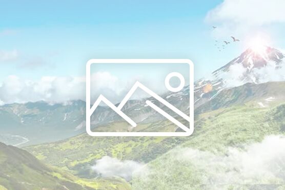 共筑中国梦，实践公益行